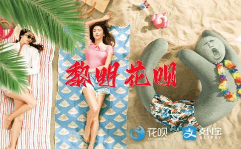 对牛弹琴花呗